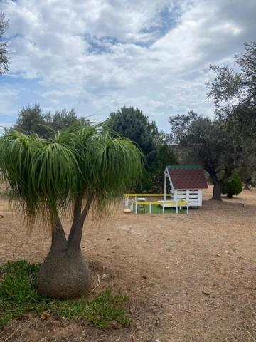 Affittacamere Olive Grove Anavyssos Esterno foto