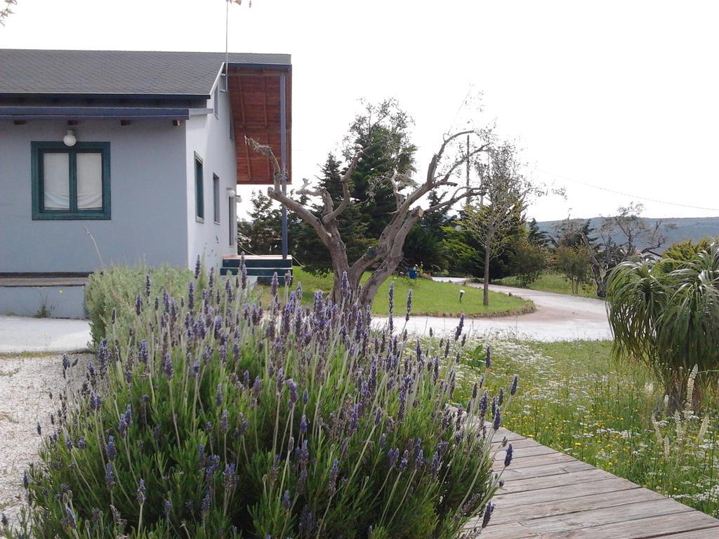 Affittacamere Olive Grove Anavyssos Esterno foto