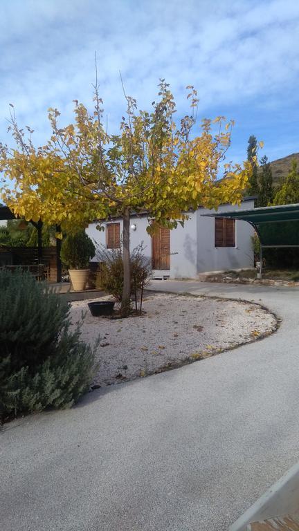 Affittacamere Olive Grove Anavyssos Esterno foto
